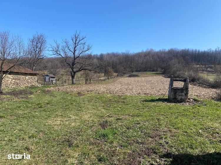 Teren de vanzare 11.000 mp, acces asfaltat - 9