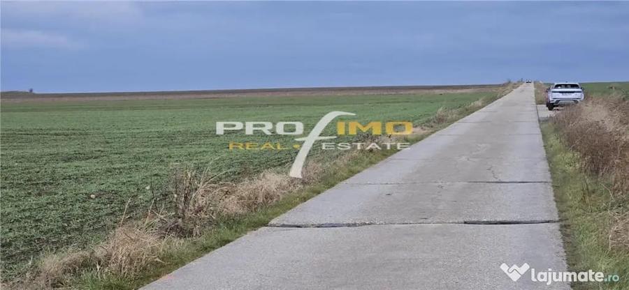 Plaja Corbu-Teren 4200mp. la numai 8 euro /mp. Soseaua asfal - 7