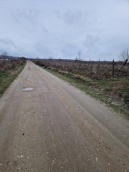 Teren de 4000 mp, în Cârcea