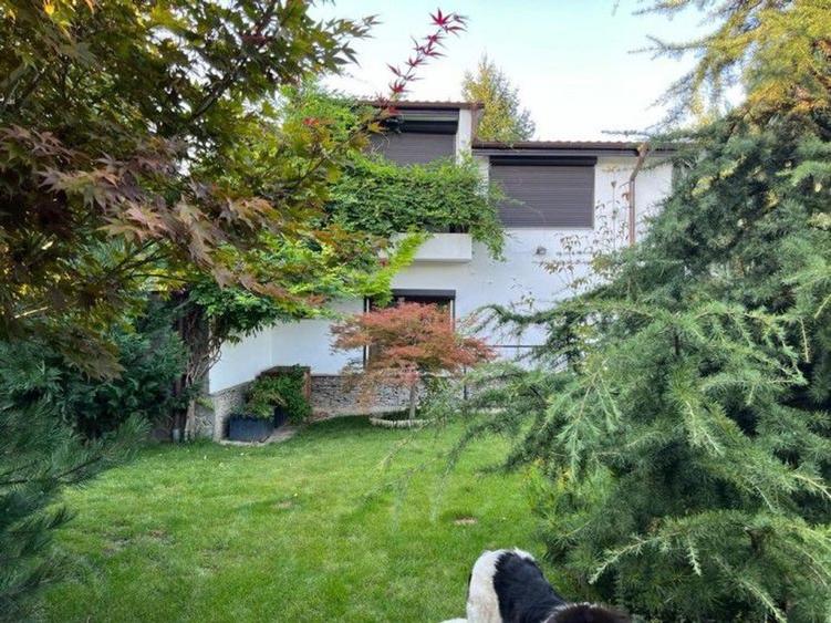 Casă individuală cu 7 camere cu Teren 1576 Mp în Snagov
