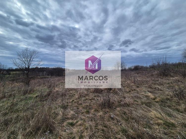 Teren agricol extravilan de 11400 mp, în Iabalcea