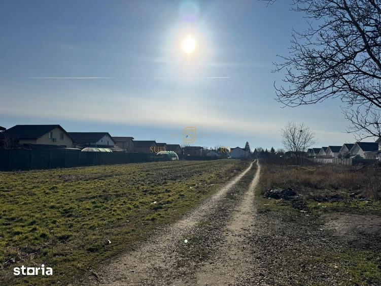 Teren de 300 mp, în Berceni