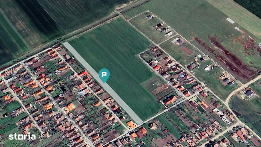 Teren de 7317 mp, în Zimandu Nou