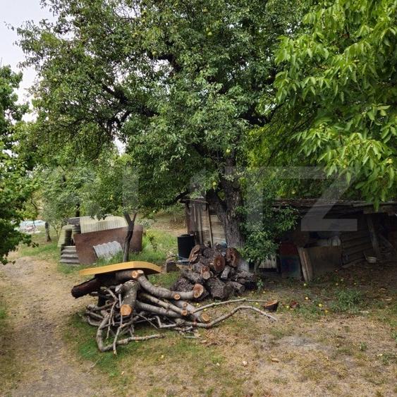 Teren Construcții intravilan de 17524 mp, în Viforâta