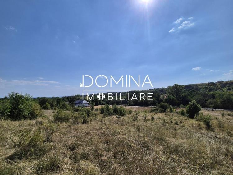 Teren Construcții intravilan de 13000 mp, în Runcu
