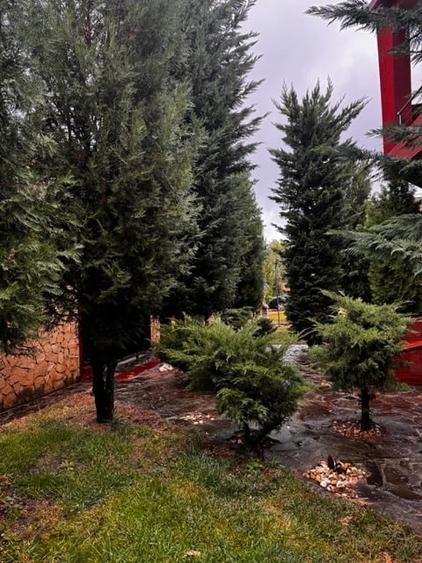 Casă cu 6 camere cu Teren 1576 Mp în Băneasa