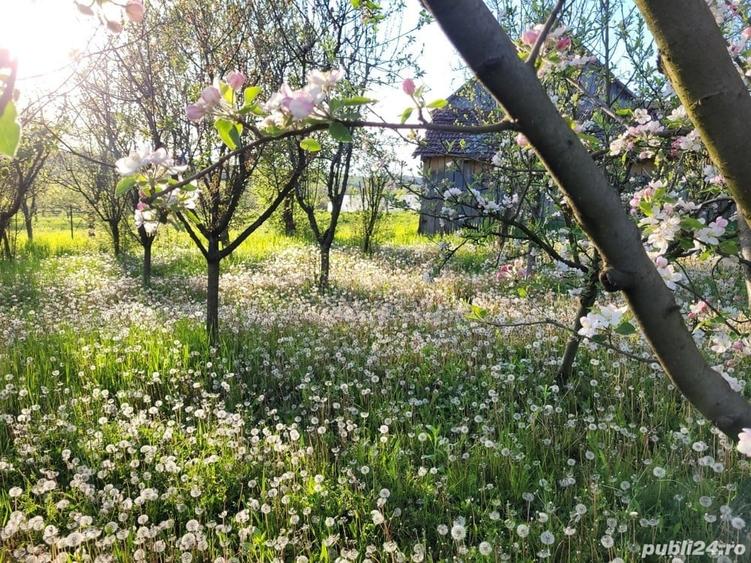Casă în Lipovei