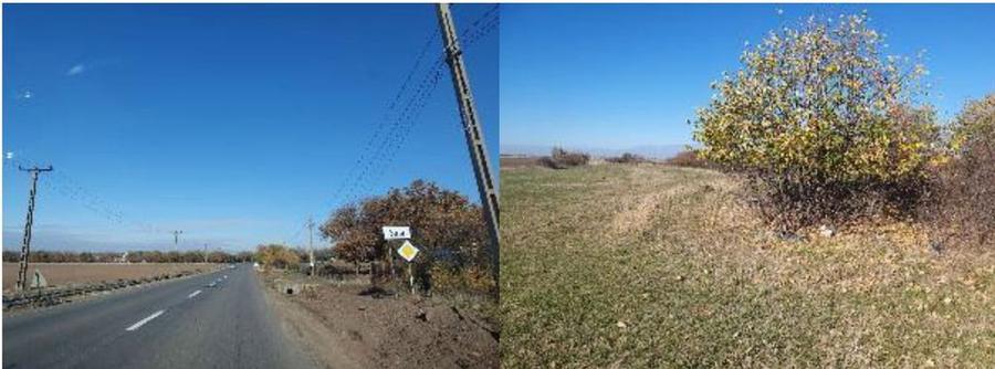 Teren extravilan- Com. Siria, jud. Arad - 3