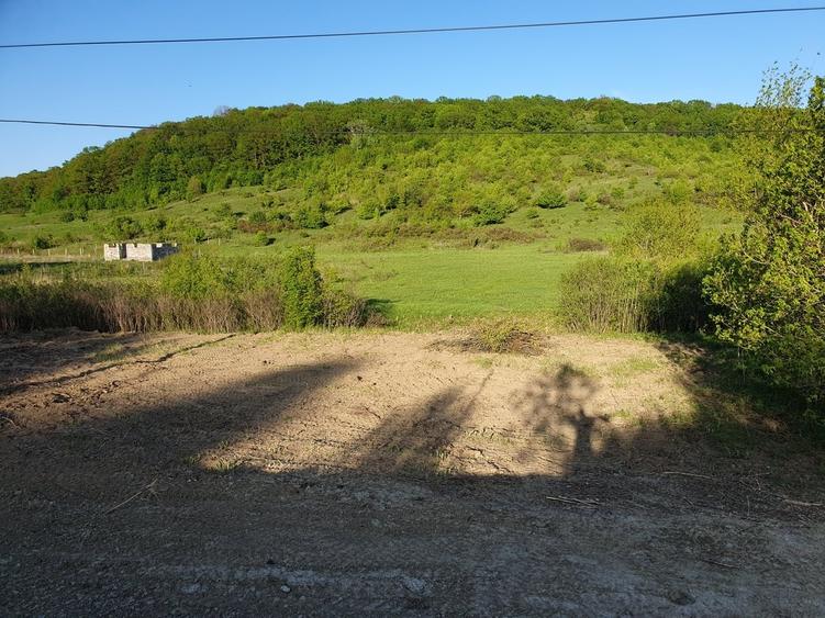 Teren în Moinești