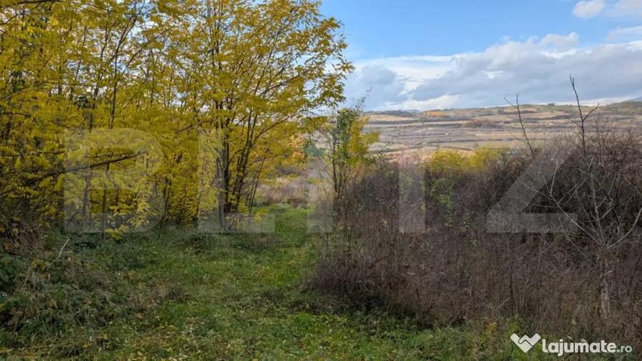 Teren de 1000 mp, în Șard