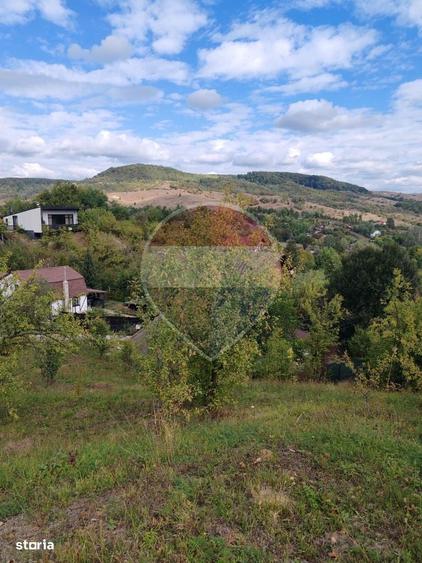 VANZARE Teren intravilan in Provita de Jos - 5