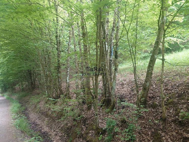 Teren de 3700 mp, în Bulzeștii de Sus