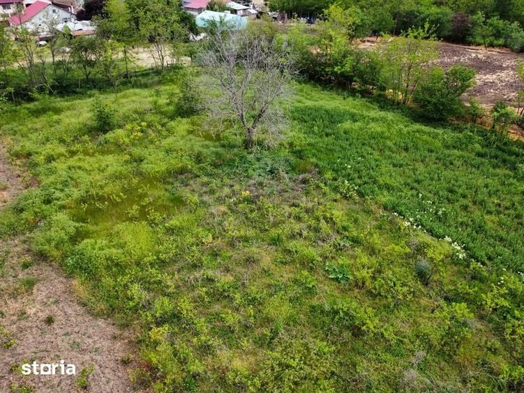 Teren de 2517 mp, în Mircea Vodă
