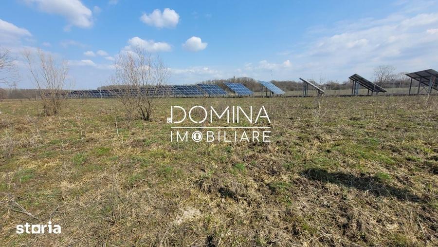 Teren de 978 mp, în Drăguțești