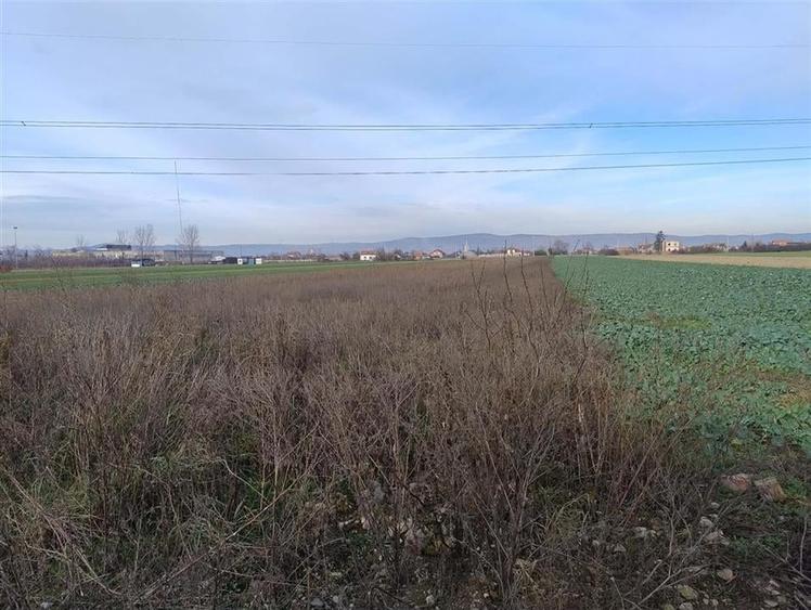 Teren Construcții intravilan de 5500 mp, în Oșorhei