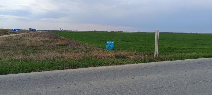 Teren agricol extravilan de 50000 mp, în Șag