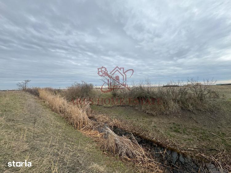 Teren de 5000 mp, în Freidorf