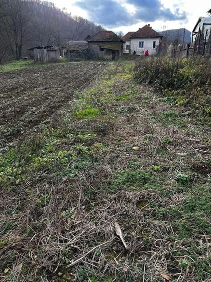 Casă în Mădrigești
