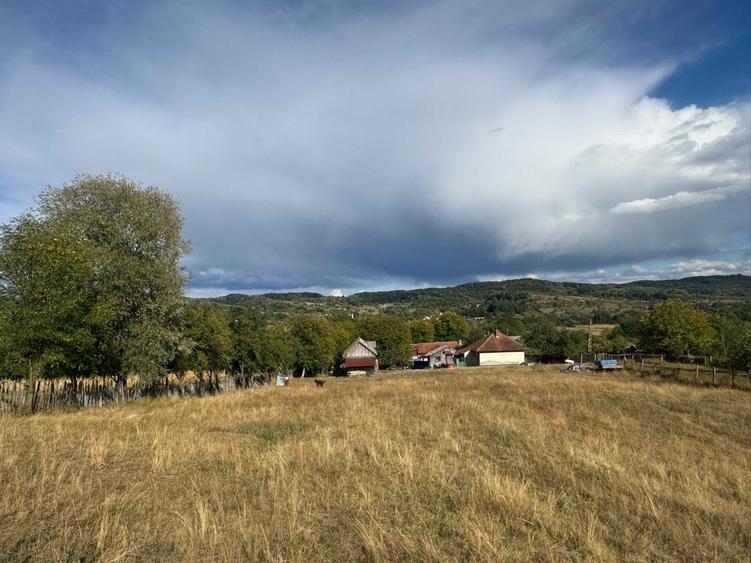 Casă cu 4 camere cu Teren 11000 Mp în Alimpești