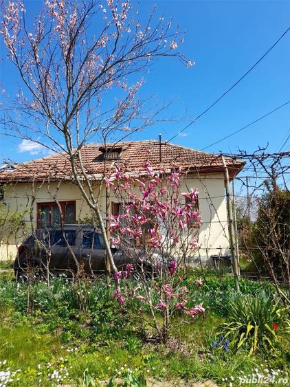 Teren de 46 mp, în Brănești