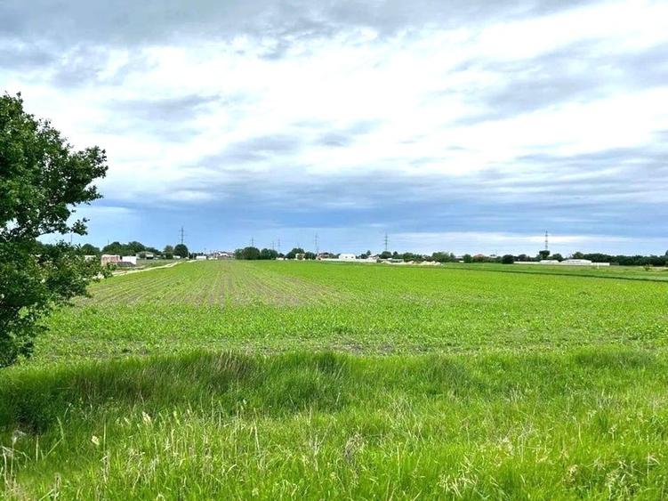 Teren Construcții intravilan de 13602 mp, în Zurbaua