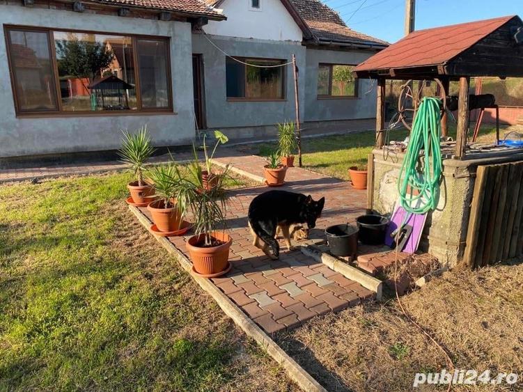 Casă cu 3 camere în Târnăveni