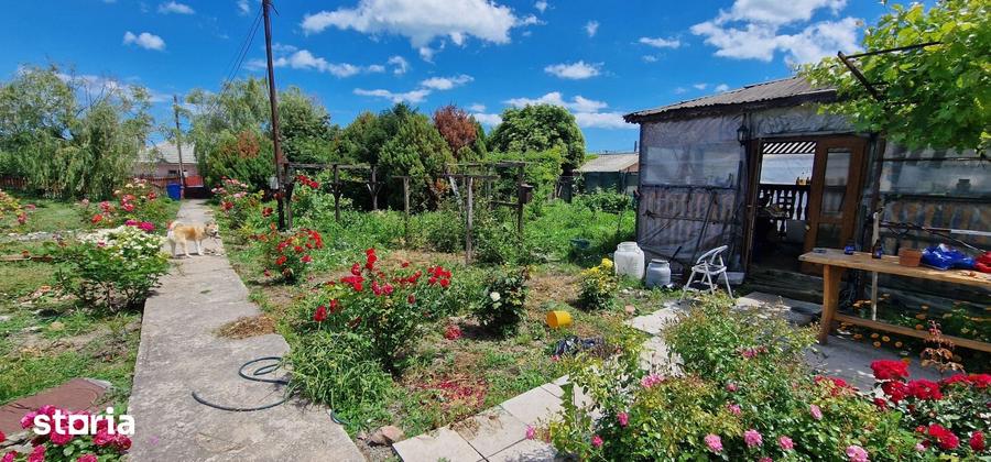 Casă cu 3 camere cu Teren 2100 Mp în Tuzla