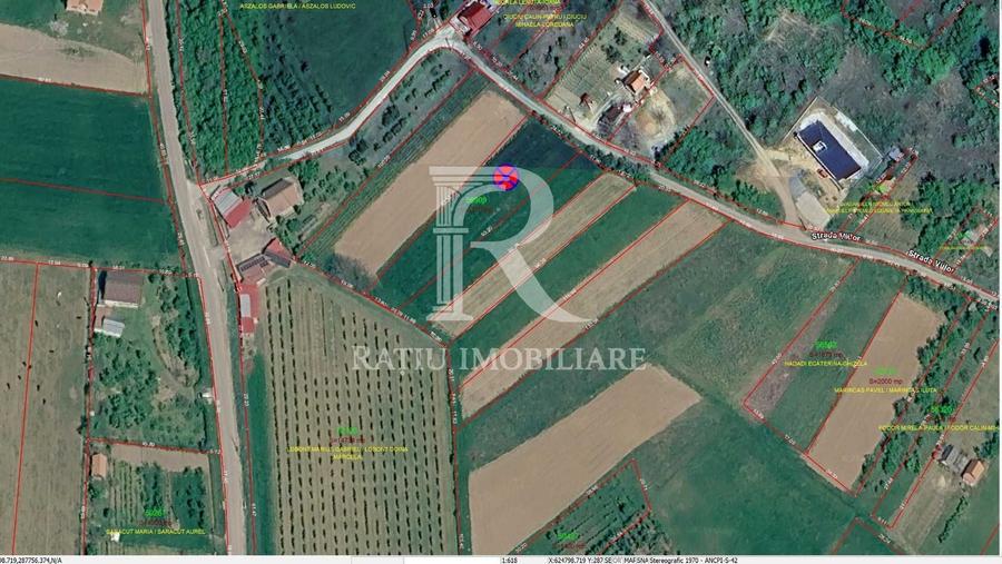 Teren Construcții intravilan de 1770 mp, în Uileacu de Criș
