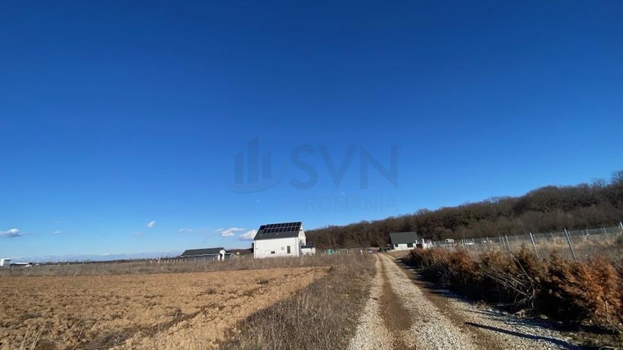 Teren Construcții intravilan de 8100 mp, în Ciolpani