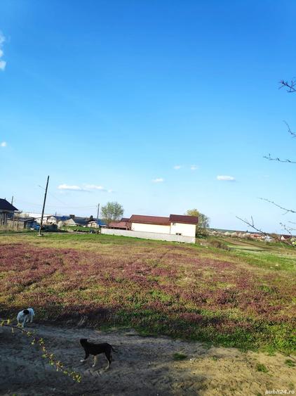 Teren de 1720 mp, în Nanov