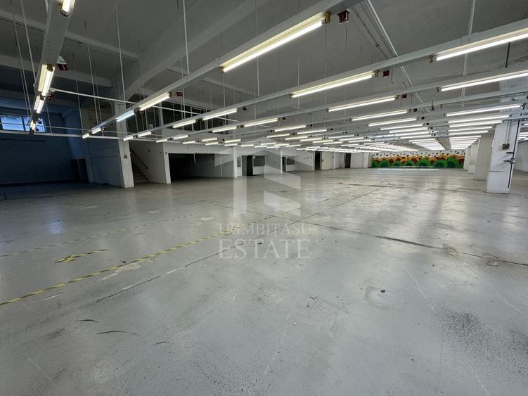 Spațiu industrial, de 2,939 mp, în Nord