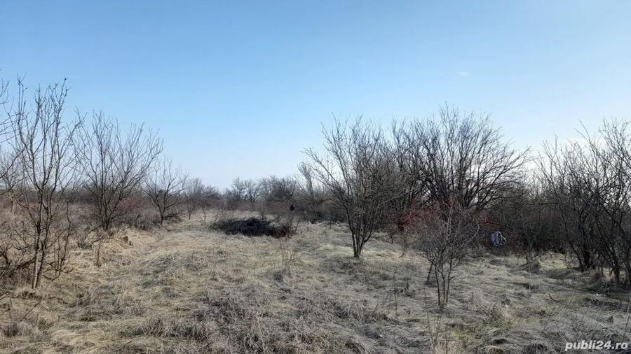 Teren de 1600 mp, în Central