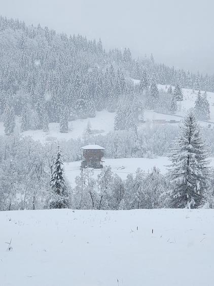 Casa de vacanta,cabana 2026,zona Lacul Rosu Cheile Bicazului - 7