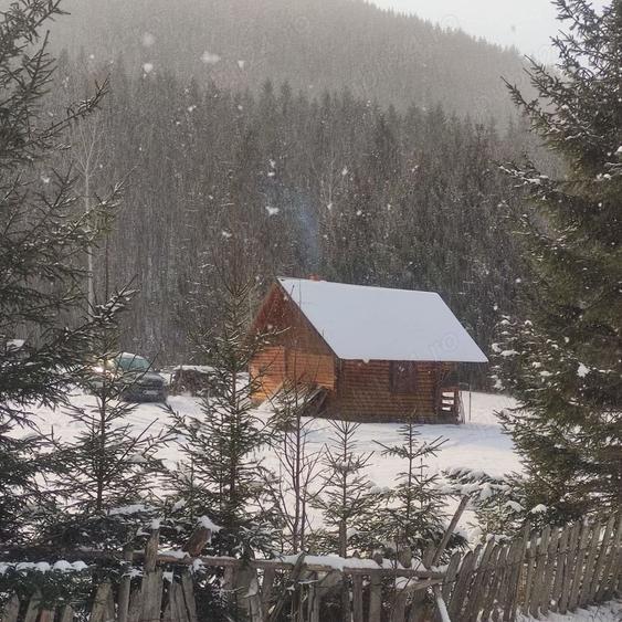 Teren de 9172 mp, în Pintic