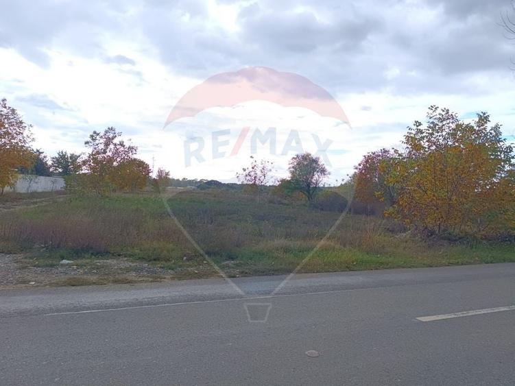 Teren Construcții intravilan de 2056 mp, în Ciolpani