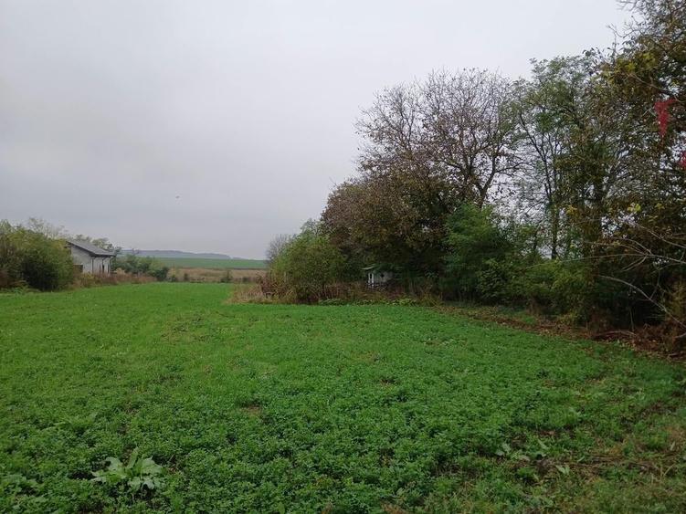 Teren Construcții intravilan de 3487 mp, în Petrăchioaia