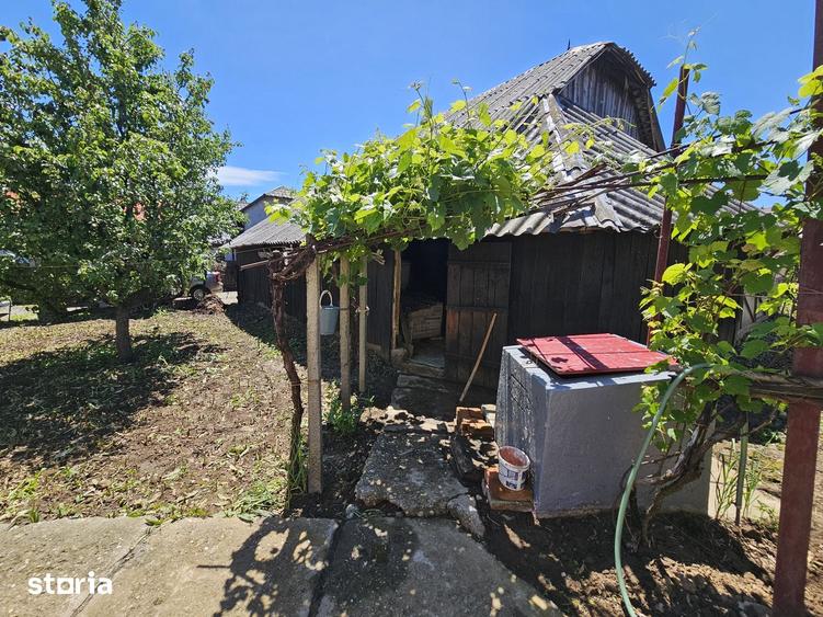 Casă cu 3 camere cu Teren 1330 Mp în Păunești