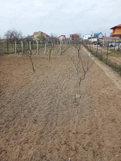 Teren de 1000 mp, în Cernele