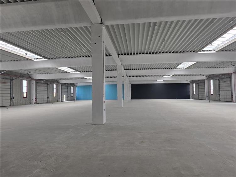 Vanzare depozit/spatiu industrial/hala Chitila - Rudeni, ILFOV - 9