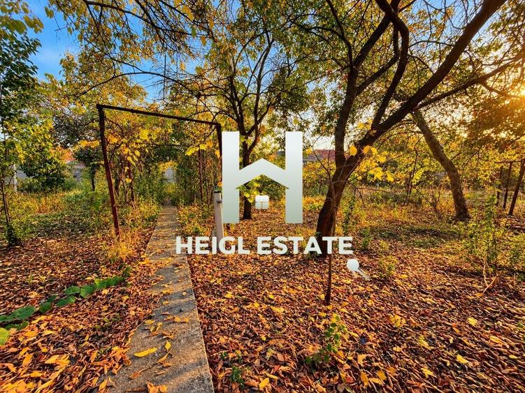 Teren Construcții intravilan de 840 mp, în Mehala