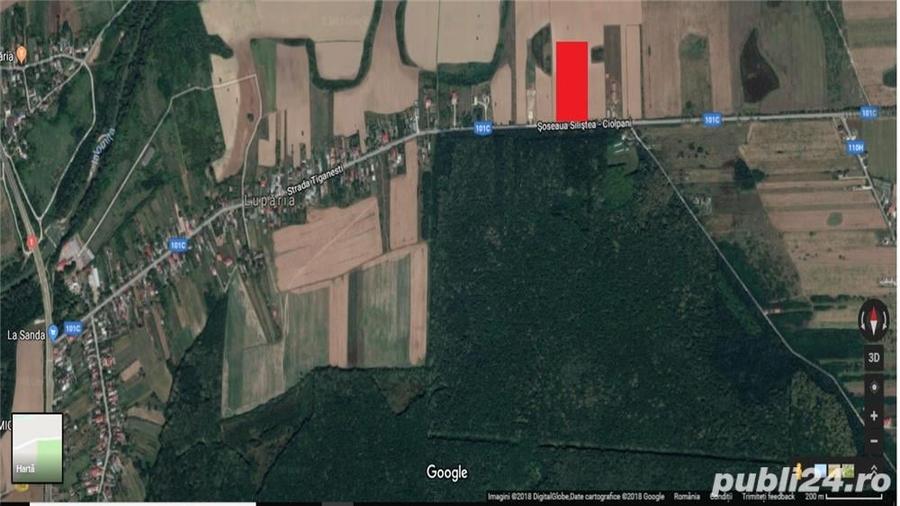 Teren de 8217 mp, în Ciolpani