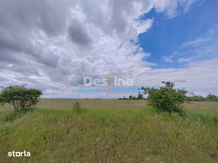 Teren de 114000 mp, în Ariceștii Rahtivani