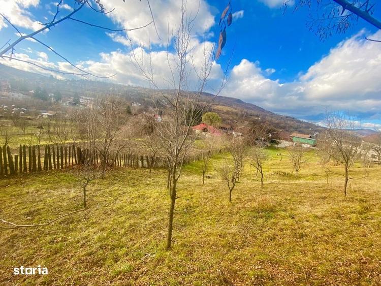 Spațiu comercial, în Valea Doftanei