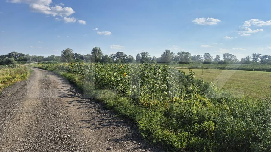 Teren Construcții intravilan de 3800 mp, în Titulescu