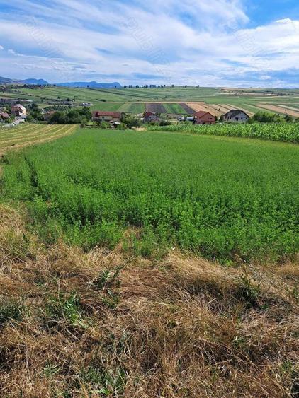 Teren de 1970 mp, în Tureni