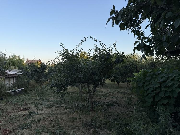 Casă cu 4 camere în Fetești