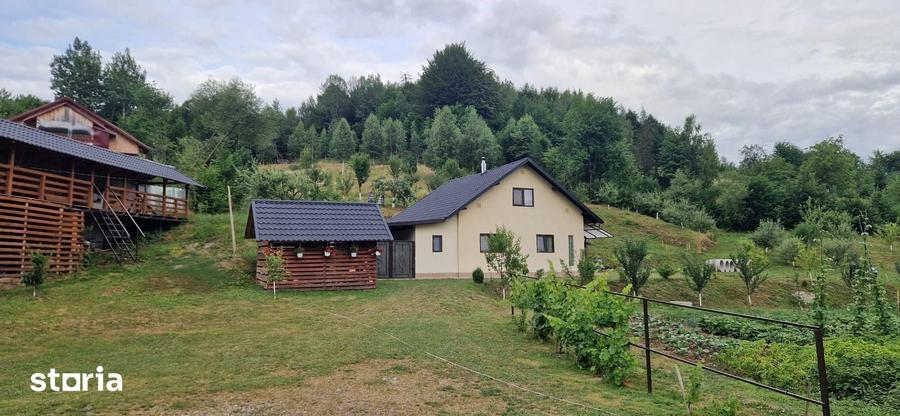 Casă cu 3 camere cu Teren 9700 Mp în Stulpicani