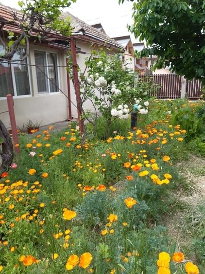 Casă individuală cu 3 camere cu Canalizare în Dorobanți 2