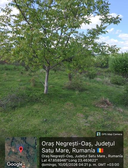 Teren în Central