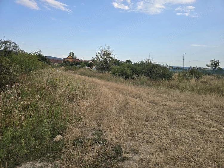 Teren intravilan (loc de casa afacere) la drumul principal in Sebis Arad - 2